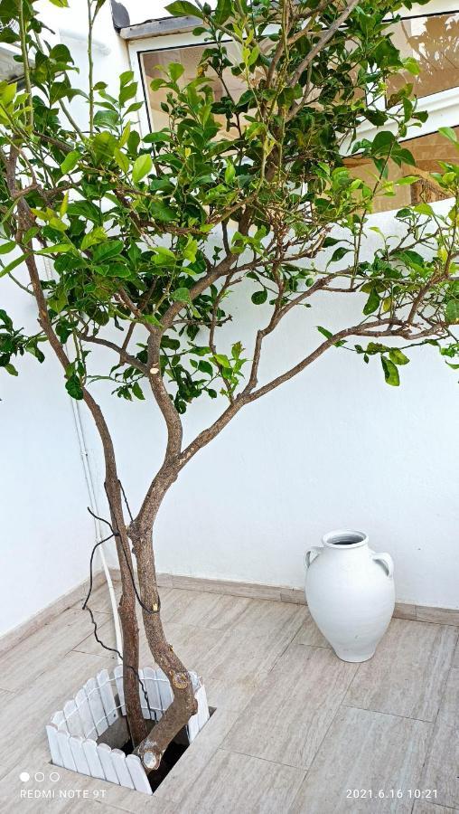 Summer Hοuse Apartment Vivlos
